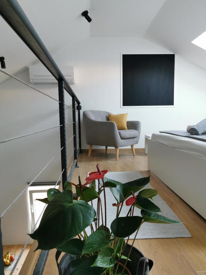 Guesthouse Korkyra Sun 코츌라 외부 사진